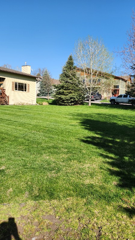 Landscaping and Snow Removal Services